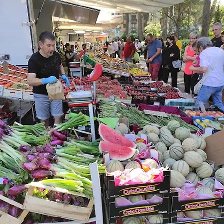 Mipro Mobilhome * 丽都斯皮纳