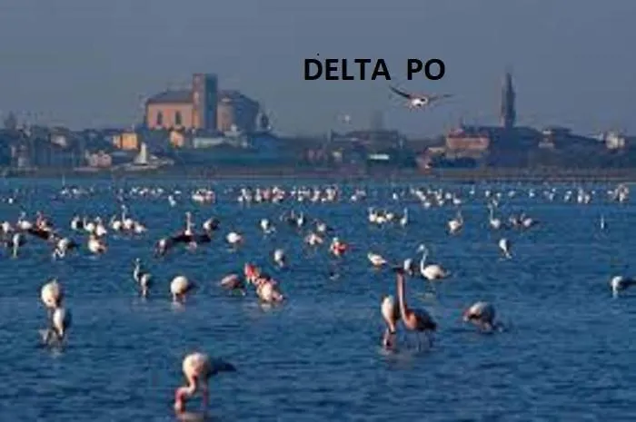 Mipro Mobilhome אתר קמפינג לידו דה ספינה